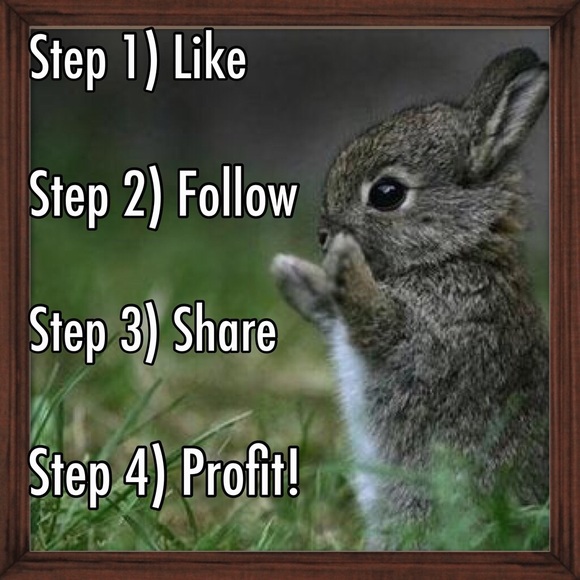 New Posher Closet Feature and Follow Game - Picture 2 of 4